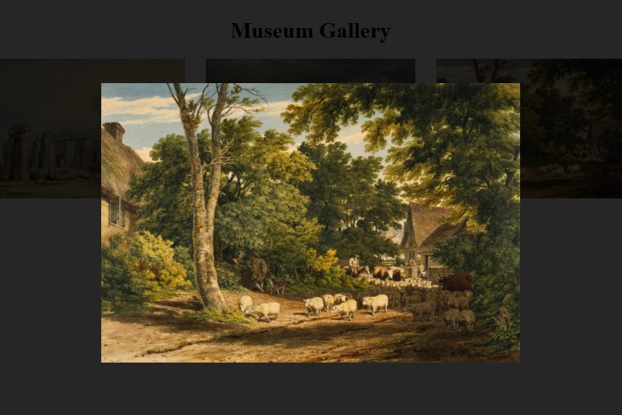 Lightbox Viewer Project